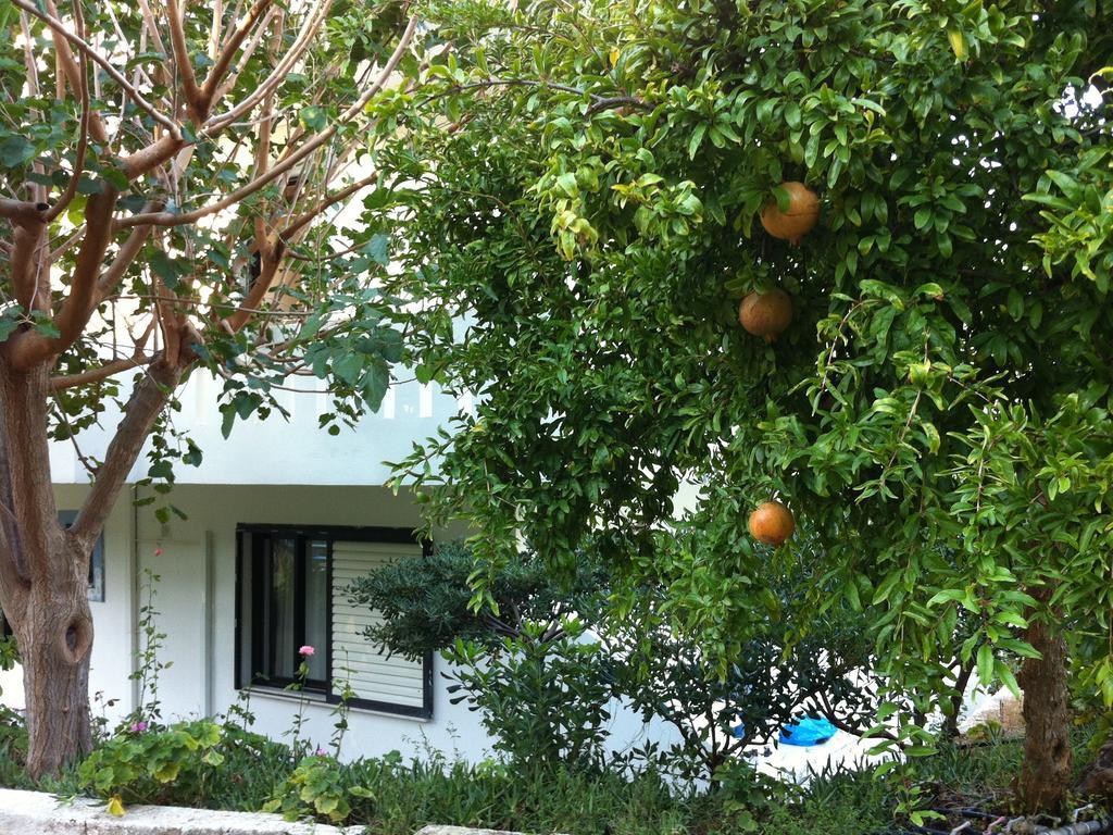 Emilia Apartments Плакиас Екстериор снимка
